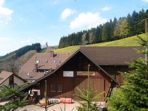 Entspannung pur auf dem Harkner Hof :)