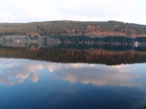 Romantische Spiegelungen im Titisee - passend zum Blues?