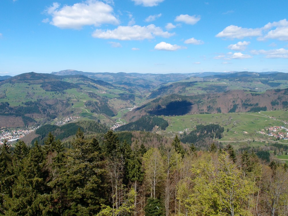 Goodbye Schwarzwald