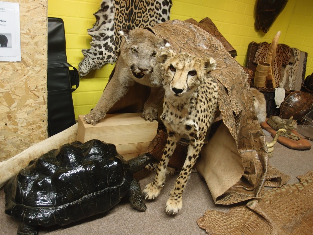 Macht mich traurig. In der Asservatenkammer des Flughafen-Zolls.