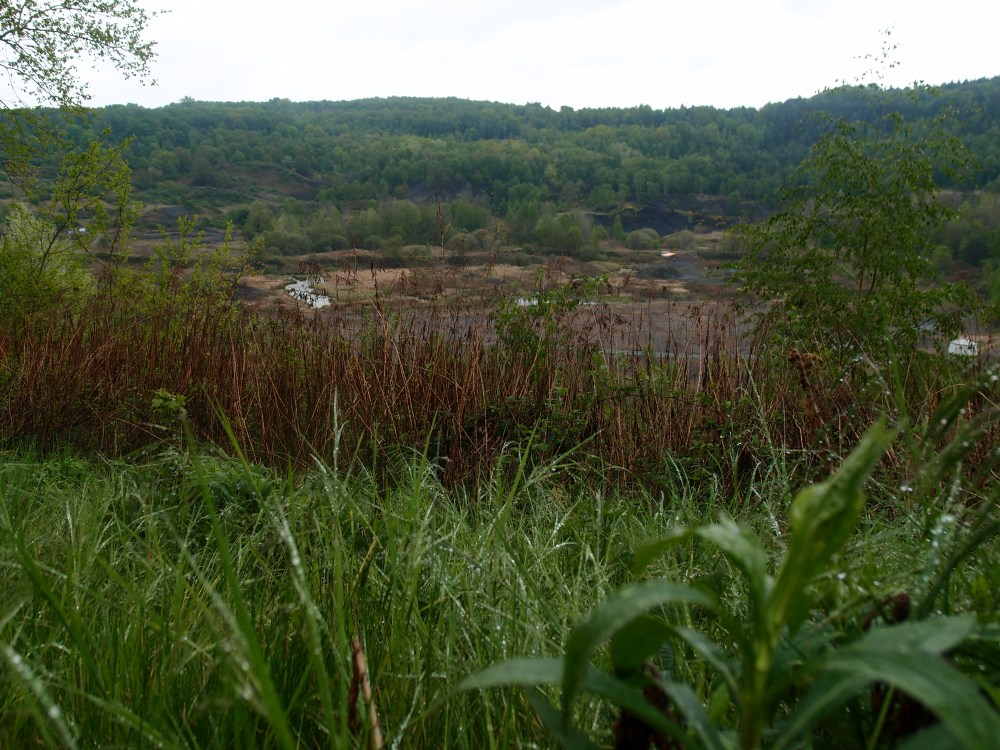 Grube Messel, auf den ersten Blick nicht spannend. Aber ein zweiter Blick lohnt... 