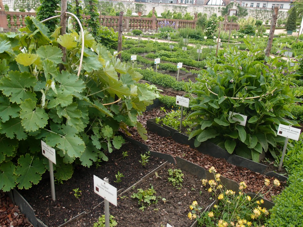 Für Kräuterhexen und Blumenfeen, Mittelalterfans und Gemüsebauer: Gärten im Kloster Seligenstadt.