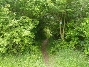 Schöne Wege, schöner Tag