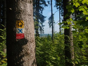 Unterwegs auf dem E3 (weiß-blaues X), dem Quellenweg (Saar, Main, Eger) und dem Fränkischen Gebirgsweg.
