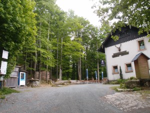 Mittag mitten im Wald, noch bei ganz gutem Wetter