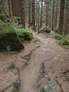 Dann geht es im Wechsel runter...