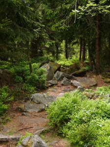 ...runter und auf den nächsten Gipfel raus.