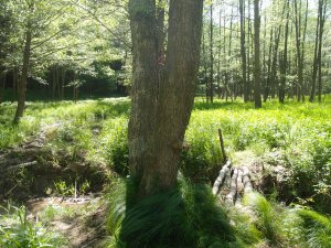 Herbeigesehnte Abwechslung mit instabiler 