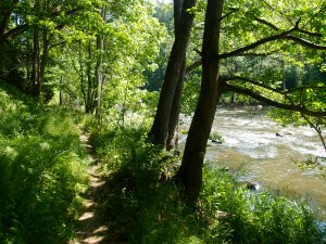 Wunderschöner Trampelpfad entlang des Flusses! Noch ist der Weg hervorragend auszumachen...