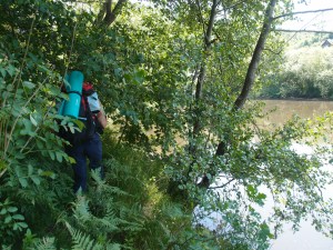 ...langsam verschwinder der Pfad im Nirvana...