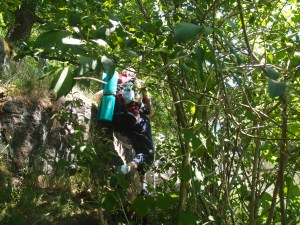 ...und entlang gedrückt...