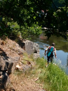 ...und sich einen Weg gebahnt: Furchtloser Anführer auf Suche - erfolgreich!
