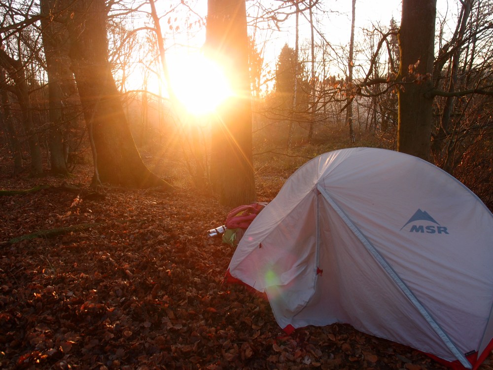 Mal ehrlich: Ich hätte die Nacht auch bibbernd ausgestanden, um den Anblick genießen zu können