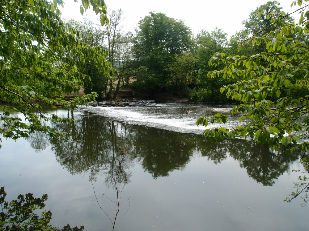 Die Wupper, an manchen Stellen auch "Bergischer Amazonas" genannt