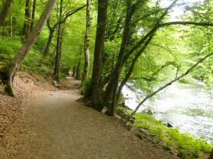 Ich liebe den Duft von Wasser,  der Fluss riecht für mich nach Urlaub und Kanu :)