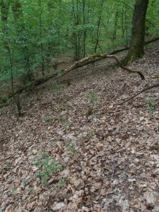 Irgendwo ist immer ein Weg ;-)