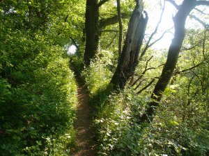 Schön entspannt wandern