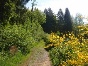 Die Sonne kam immer wieder raus!