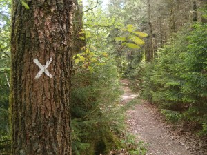 Manchmal ist es aber eben auch nur das Suchen nach einem X