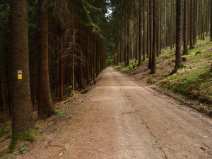 Ab und an verlaufen der X11 und der Bergische Panoramasteig gleich