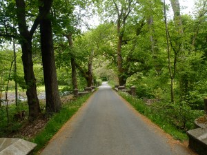 Noch scheint immer wieder die Sonne durch die Blätter
