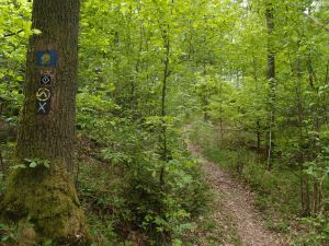 Schmale Wege, gut gekennzeichnet, so liebe ich das