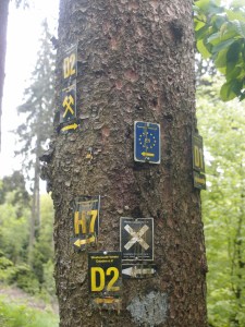 Deswegen habe ich mal weniger, mal mehr Hilfe nötig - so viele Zeichen!