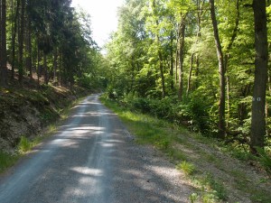 Immer dem Turm (Schild am Baum auf derrechten Seite) hinterher