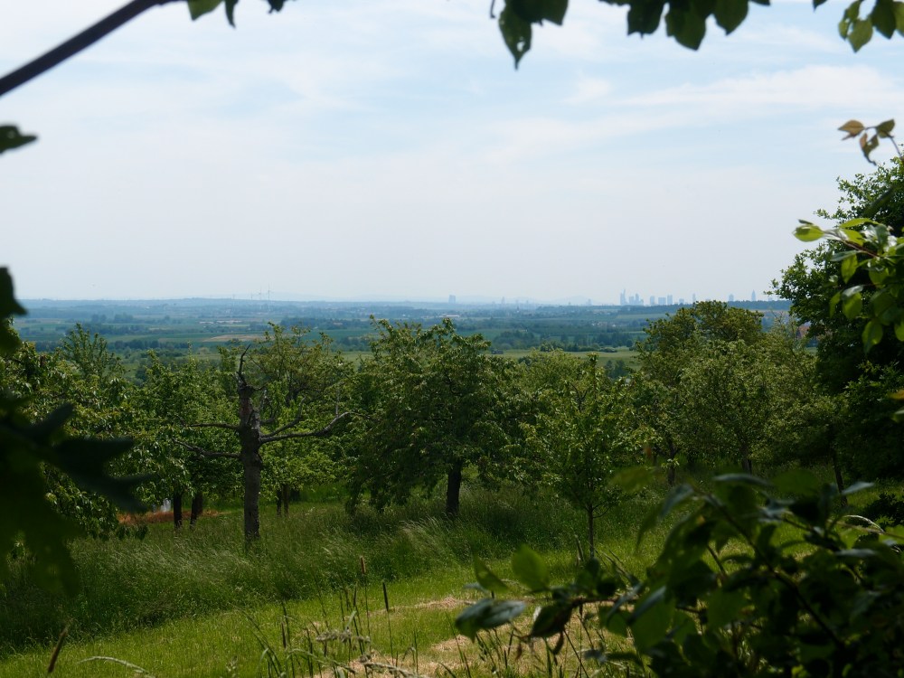 Die Heimat eingerahmt in Grün: Die Skyline Frankfurts ganz hinten am Horizont