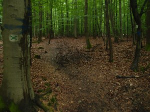 Dunkel und geheimnisvoll...