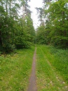 Im Naturpark Spessart unterwegs