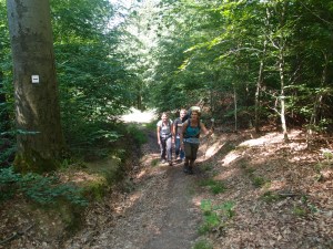 Nur ein Teilstück des z.T. viel steileren Aufstiegs