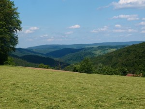Zwischen den Waldstrecken eröffnen sich solche Ausblicke be