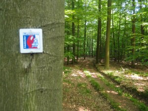 Perfekte Beschilderung auf dem Fränkischen Marienweg