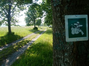 Nach kurzem Anstieg aus Rothenbuch raus - auf dem Hasenstabweg über eine schöne Wiesenebene