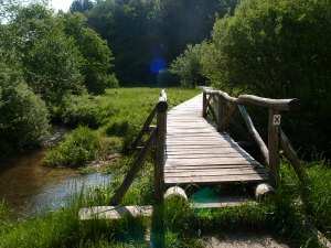 Über ein sumpfiges Wiesental zwischen zwei Wäldern und den Fluss führt ein Holzsteg