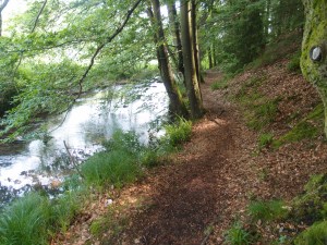 Der Spessart zeigt sich von seiner schönsten Seite