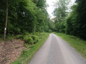 Dann kommt eine ewig lange Strecke so was - mental für mich schwer zu verkraften heute, auch die Füße protestierten langsam