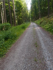Man sieht es vielleicht nicht, aber dieser Weg führt 3 km aufwärts - einer der Momente, wo ich fast verzweifel