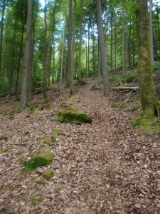 Steil, dafür aber der kürzeste Weg!